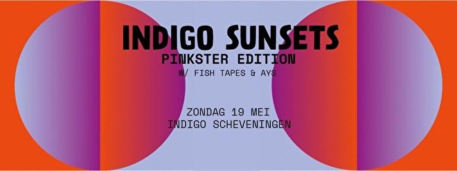 Indigo Sunsets